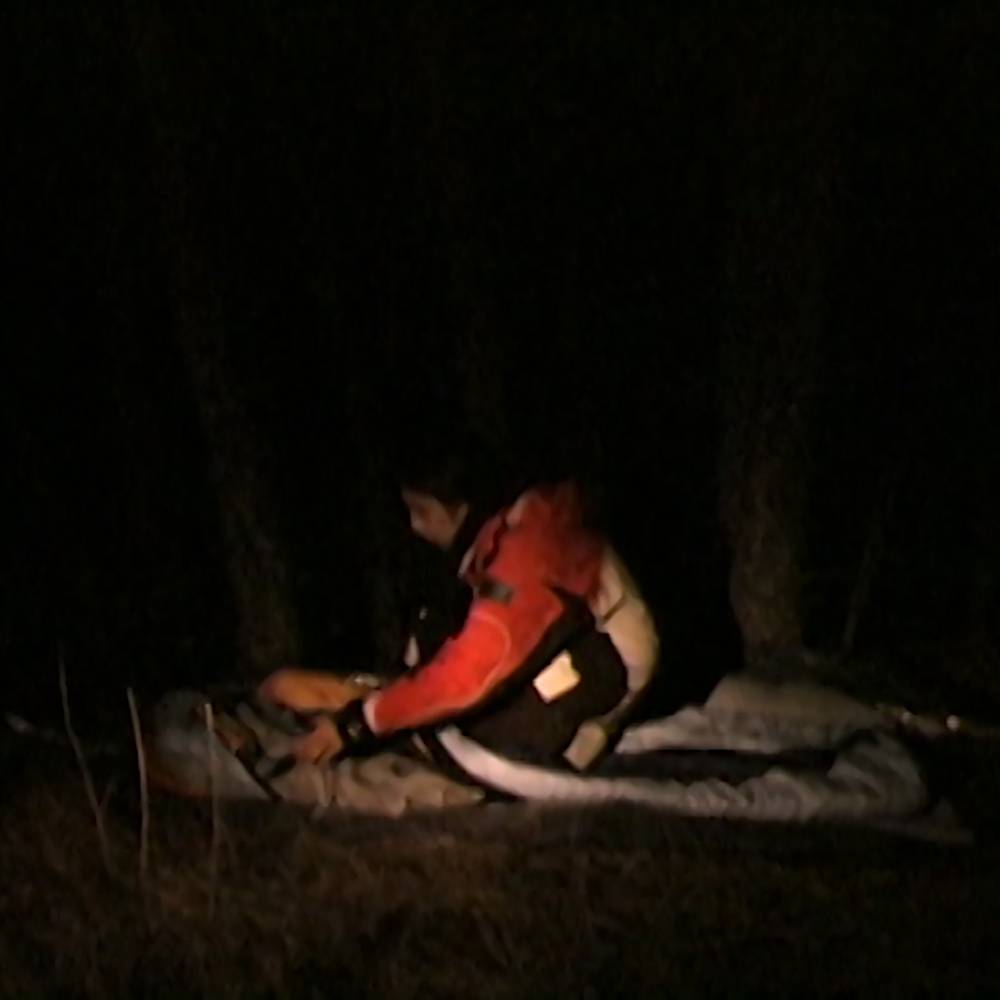 virmuze exhibit Complicit Confrontation: An Exhibition of Contemporary Indegenious Art logo main