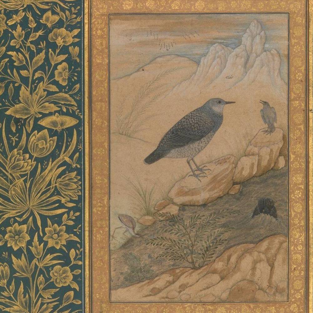 virmuze exhibit Birds of the Mughal Empire logo main
