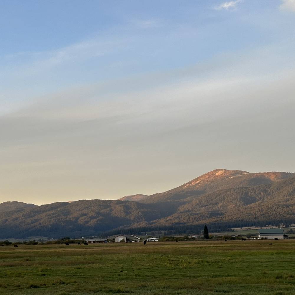 virmuze exhibit Remembering the Past, Looking to the Future logo main