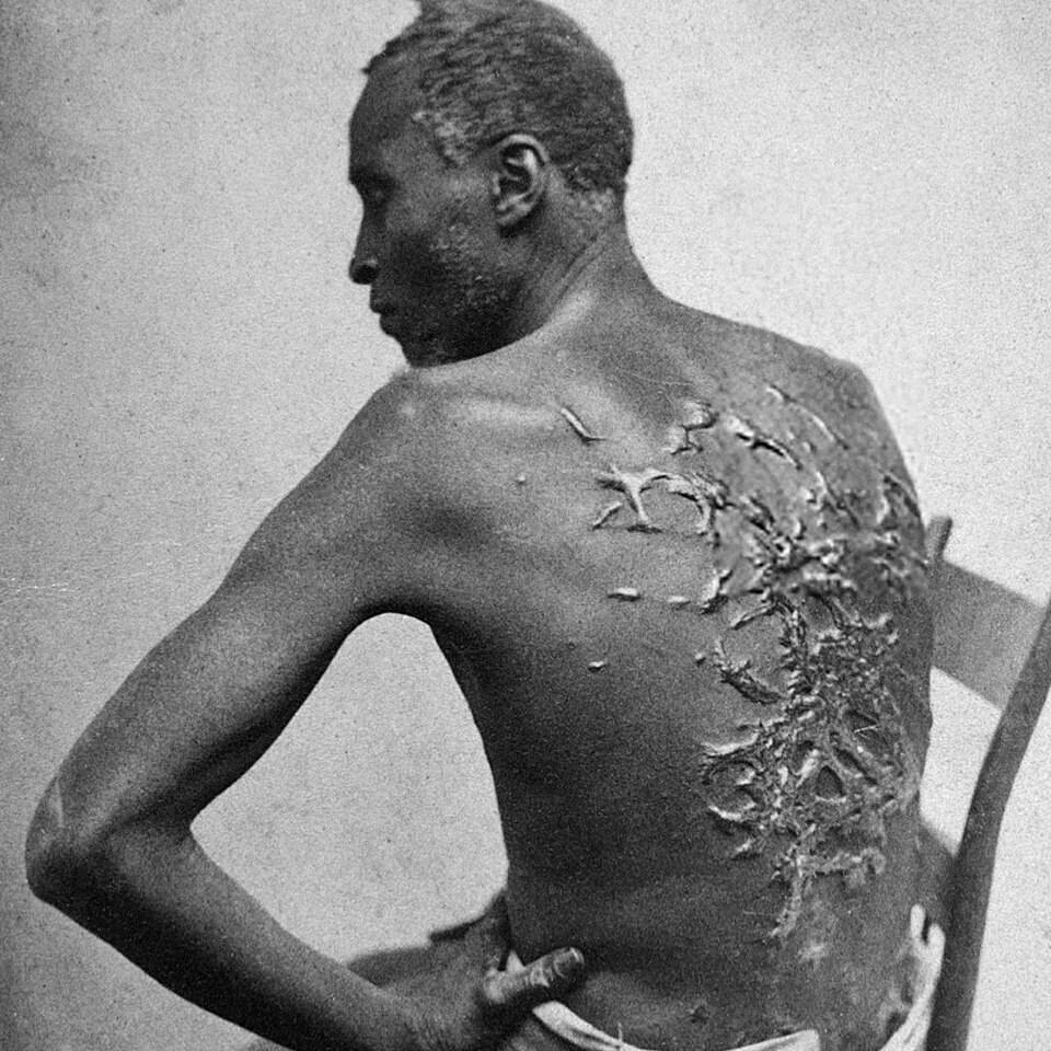 virmuze exhibit The Scourged Back logo main