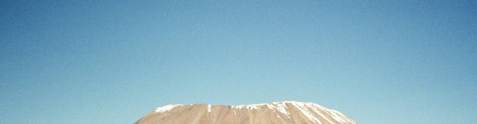 virmuze exhibit Assimilation logo main banner