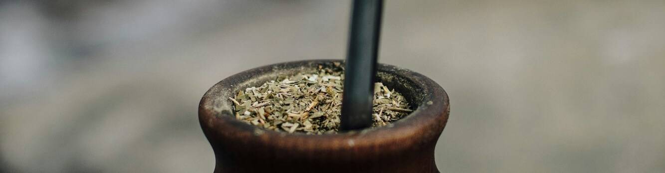virmuze exhibit Ilex paraguayensis “Yerba Mate” logo main banner