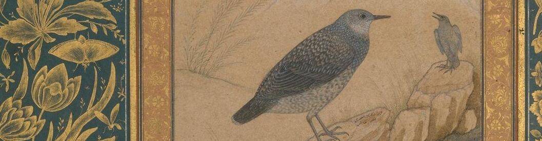 virmuze exhibit Birds of the Mughal Empire logo main banner