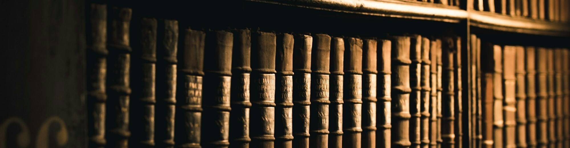 virmuze exhibit Bibliography logo main banner