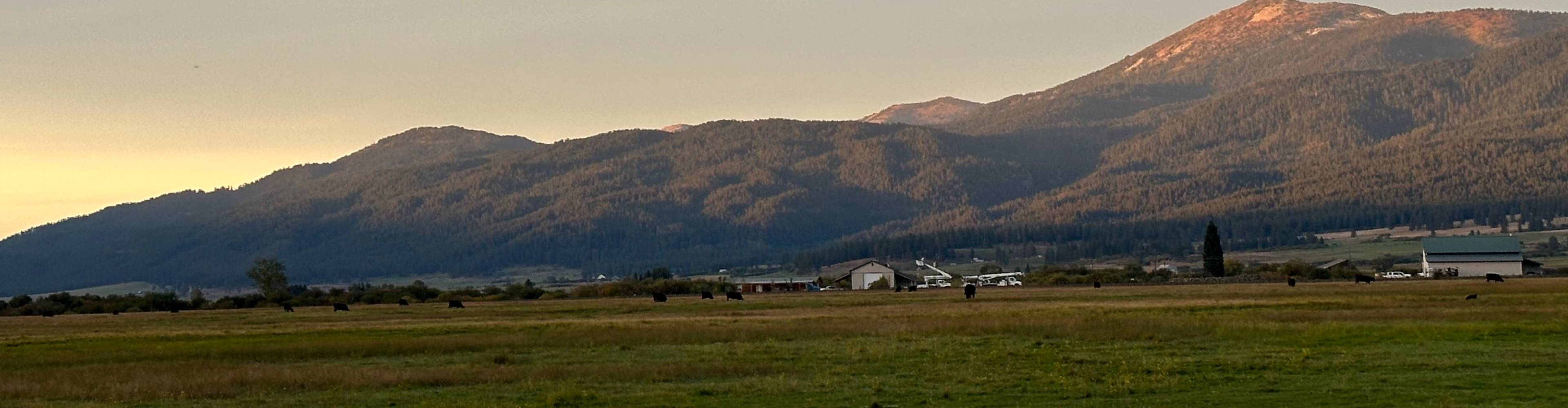 virmuze exhibit Remembering the Past, Looking to the Future logo main banner