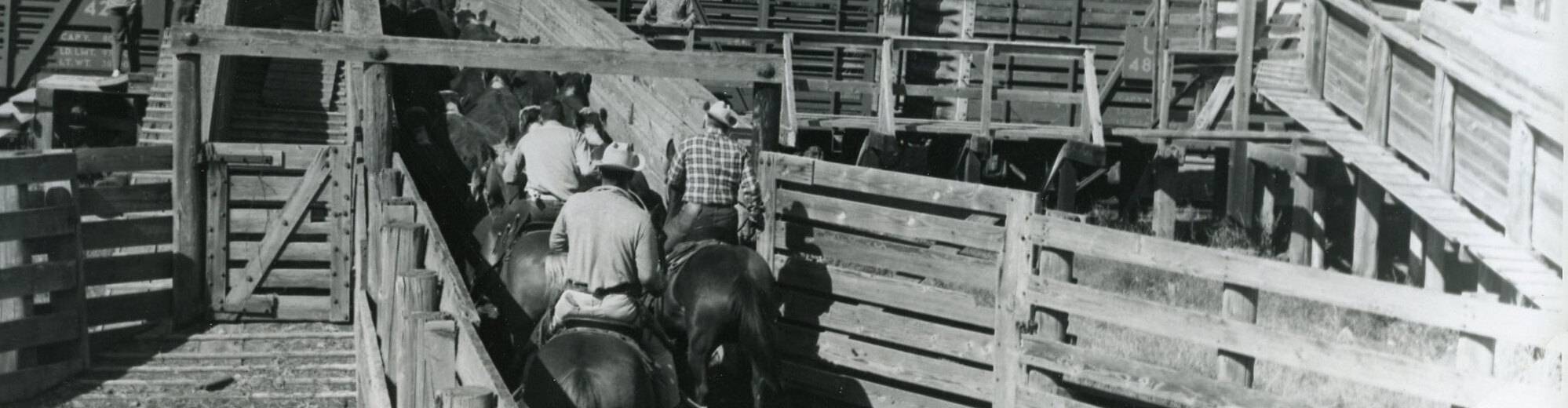 virmuze exhibit From Crops to Cattle logo main banner