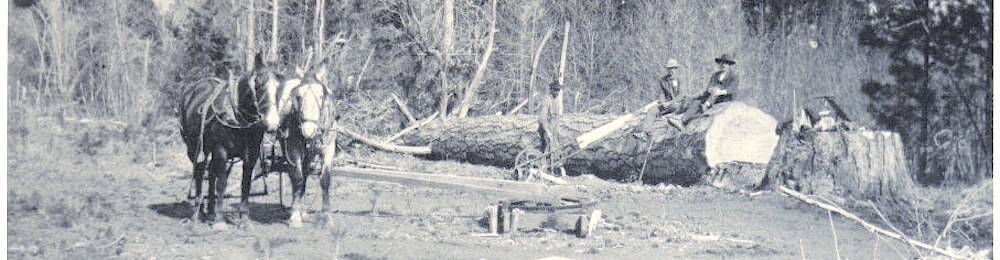 virmuze exhibit The Legacy of Logging logo main banner