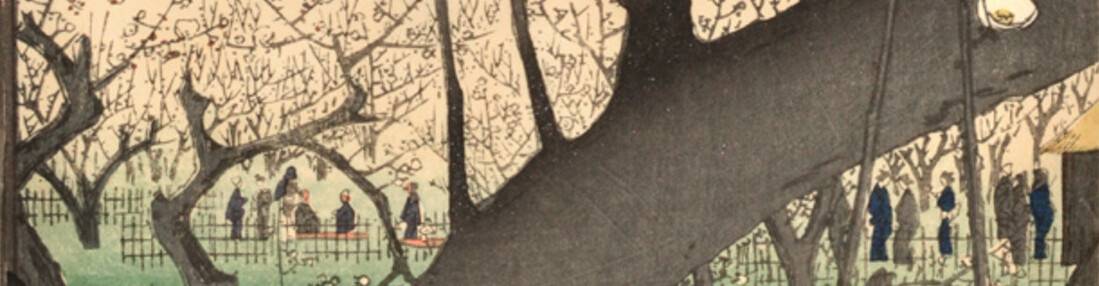 virmuze exhibit Plum Estate in Kamedio logo main banner