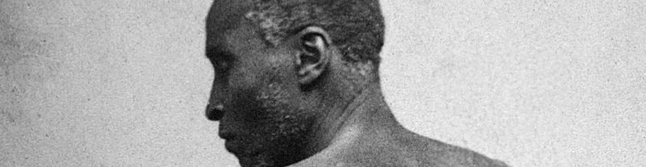 virmuze exhibit The Scourged Back logo main banner