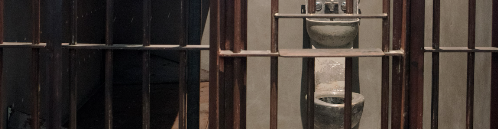 virmuze exhibit Bar and Door for Prison Cell no.3 from Camp A at Angola Prison logo main banner