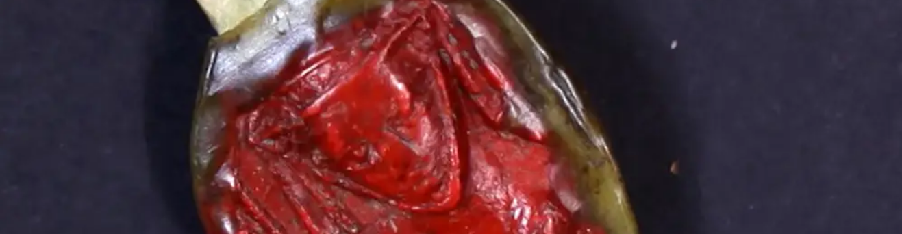 virmuze exhibit Seal of Ermengarda logo main banner