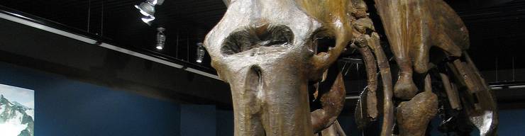 virmuze exhibit Origin of Species logo main banner