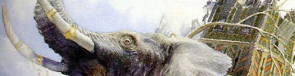 virmuze exhibit Size and Stature logo main banner