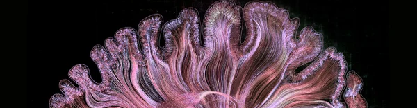 virmuze exhibit The Learning Mind logo main banner