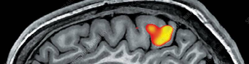 virmuze exhibit The Working Mind logo main banner