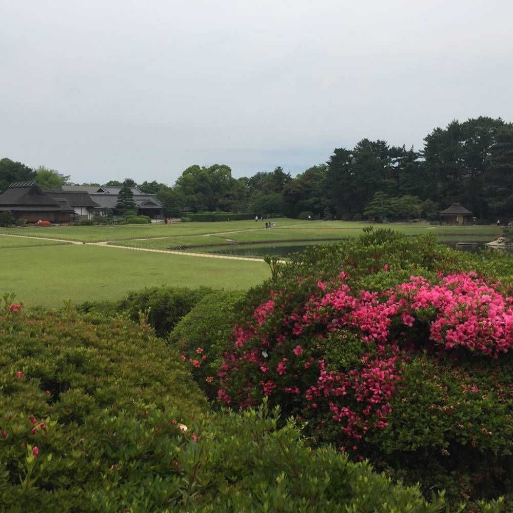 virmuze museum Aida Yuen Wong's Asian Art Courses main logo