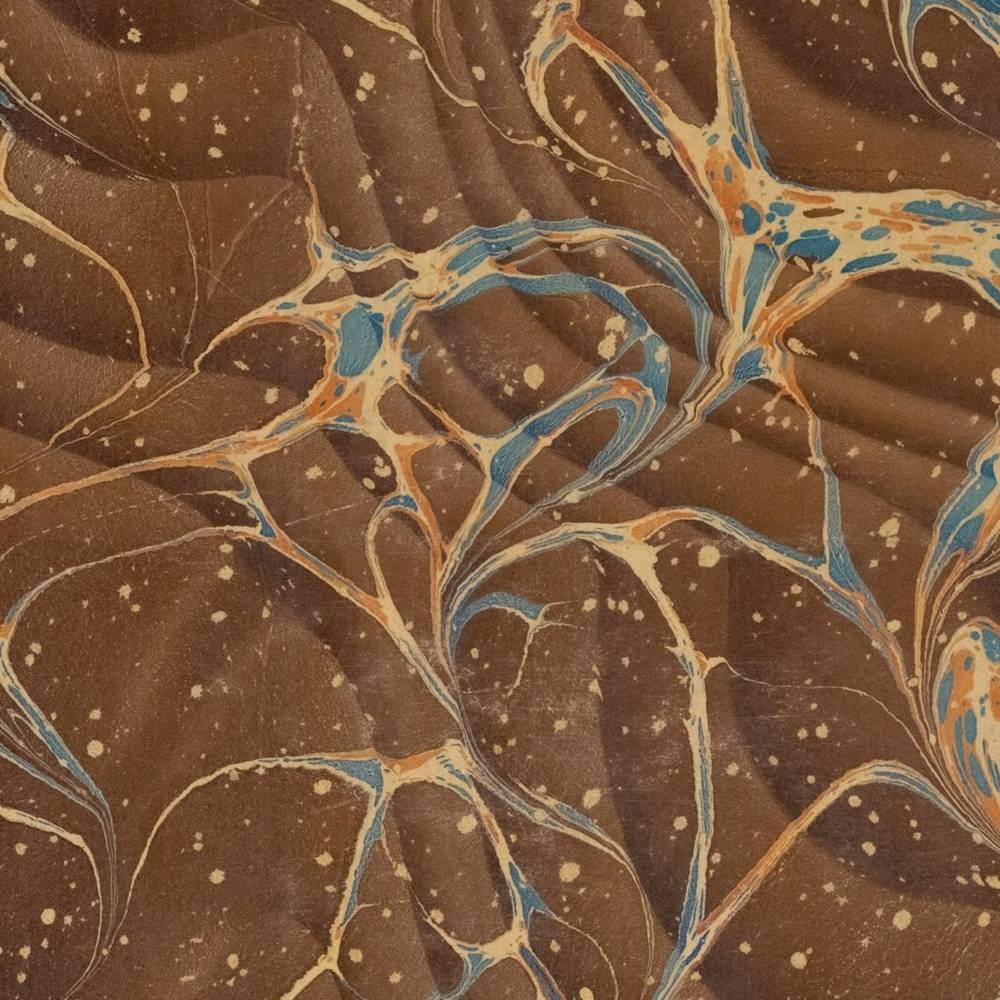 virmuze museum Belludi main logo