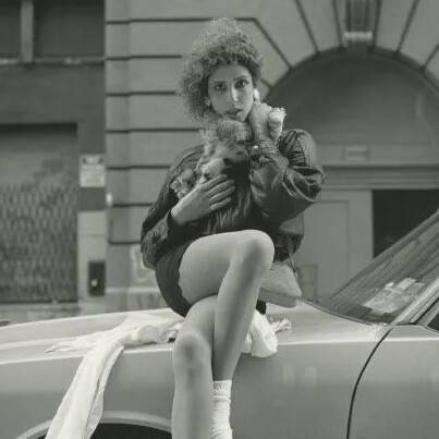 virmuze museum AIDS and Urban Transformation: Meatpacking District Real Estate & Community Records Collection main logo