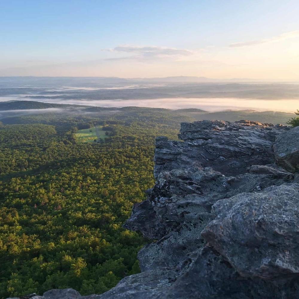 virmuze museum Expanding Community and Connecting Cultures main logo