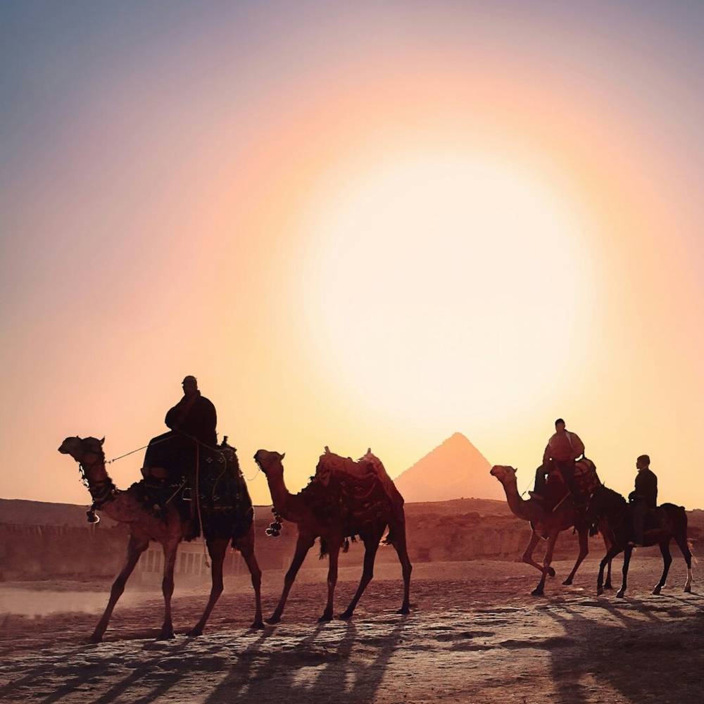 virmuze museum Objets Ancienne d'Égypte main logo