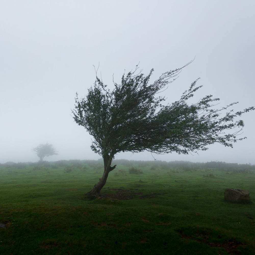 virmuze exhibit Wind Speeds To Move You logo main