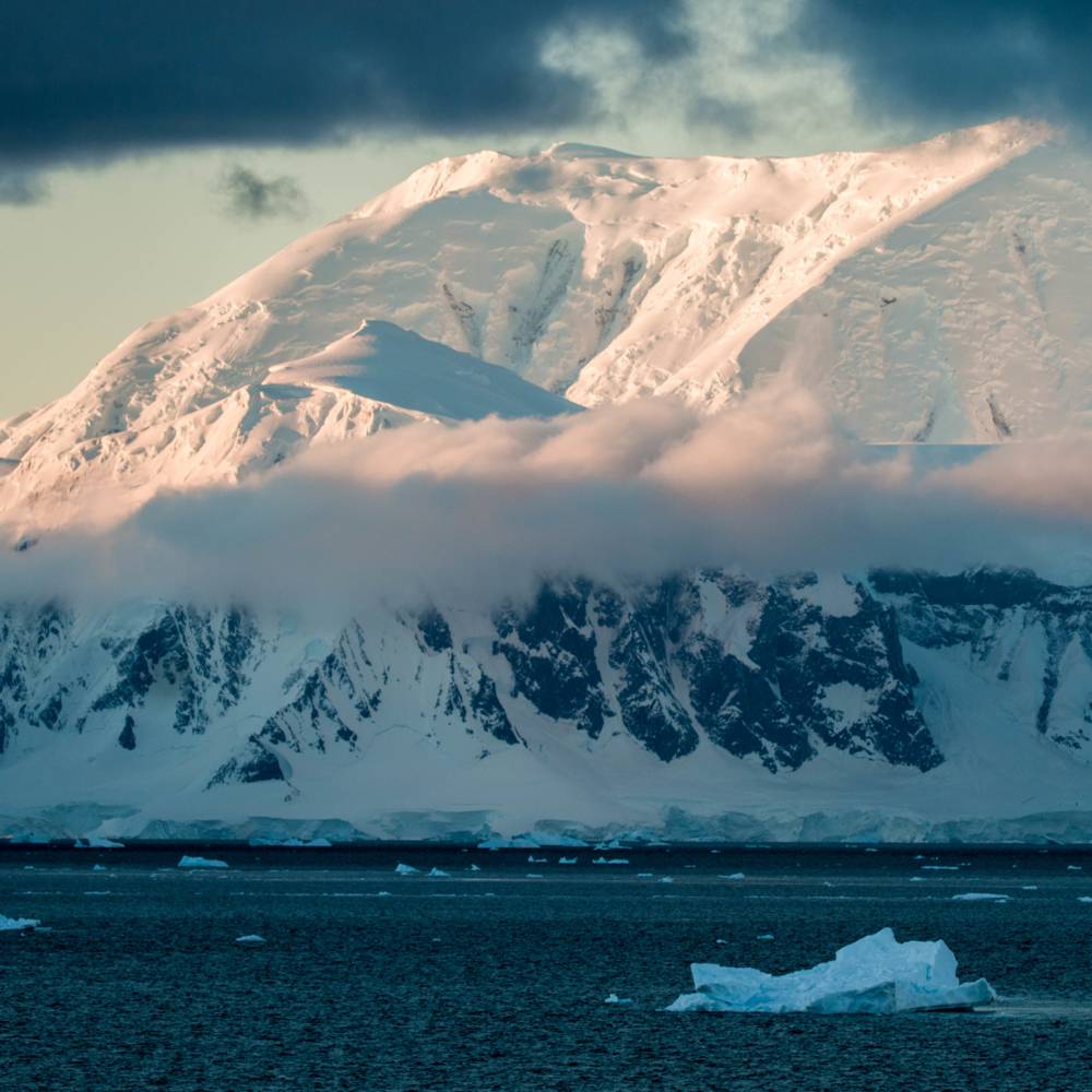 virmuze exhibit Damoy Point logo main