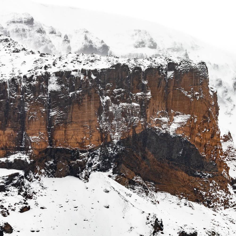 virmuze exhibit Brown Bluff logo main