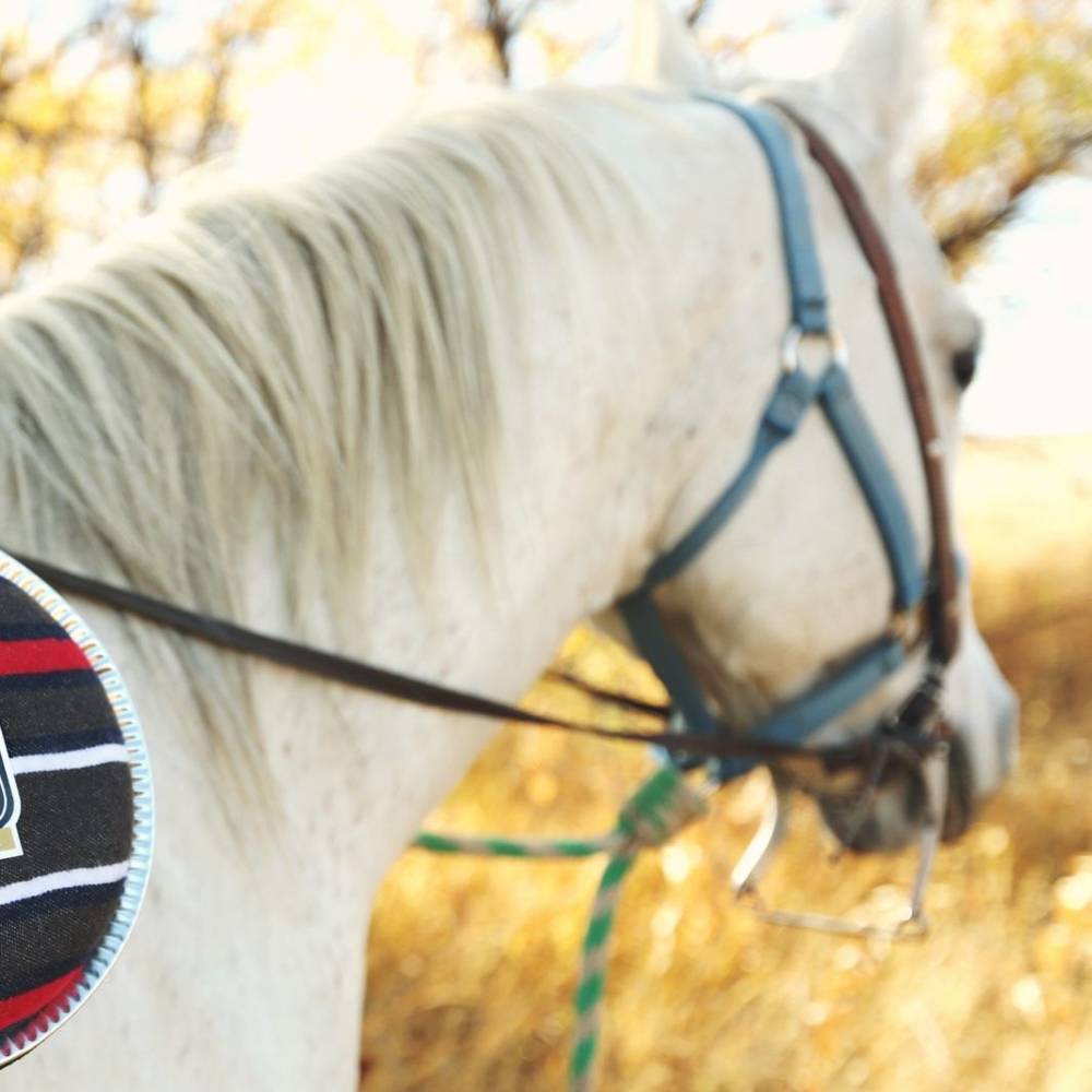 virmuze exhibit Riding logo main