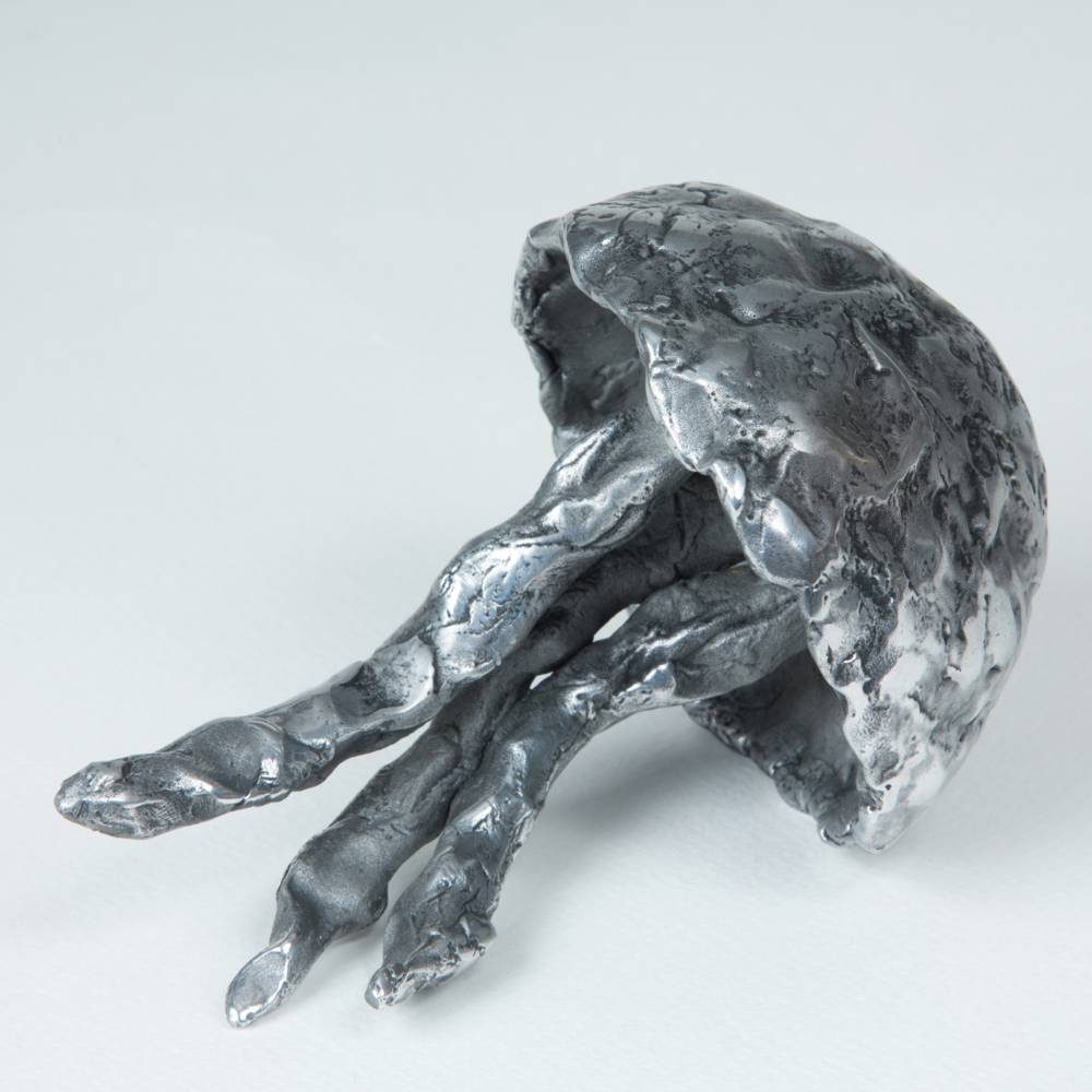 virmuze exhibit Jellyfish logo main