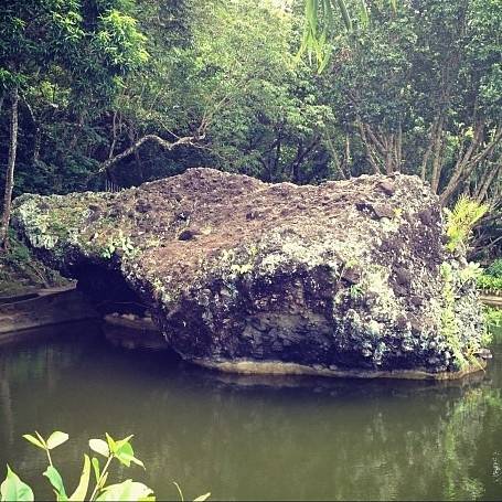 virmuze exhibit Mi Retiro Rock, Dapitan City logo main
