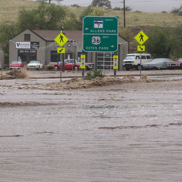 virmuze exhibit Lyons Flood logo main