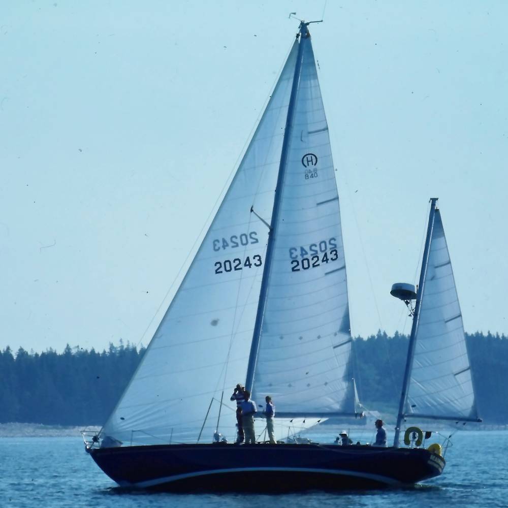 virmuze exhibit 1980's August Cruise Returns logo main