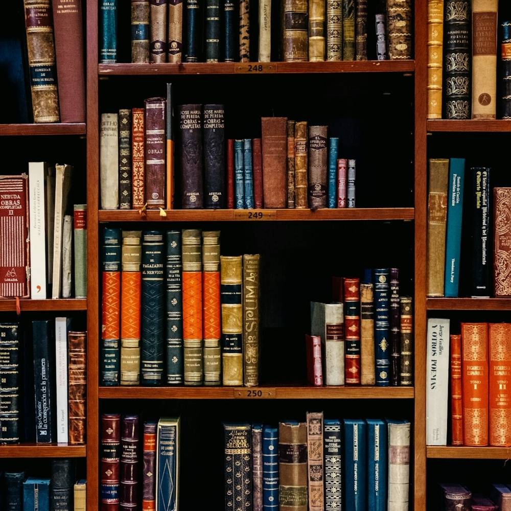 virmuze exhibit Formalization of Legal Education logo main