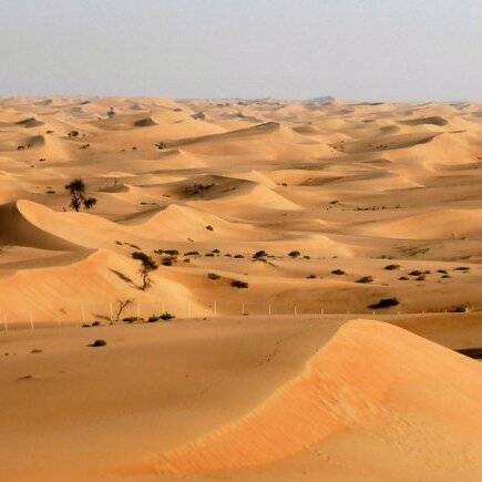 virmuze exhibit Sahara Desert logo main