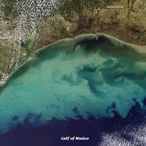 virmuze exhibit Gulf of Mexico logo main