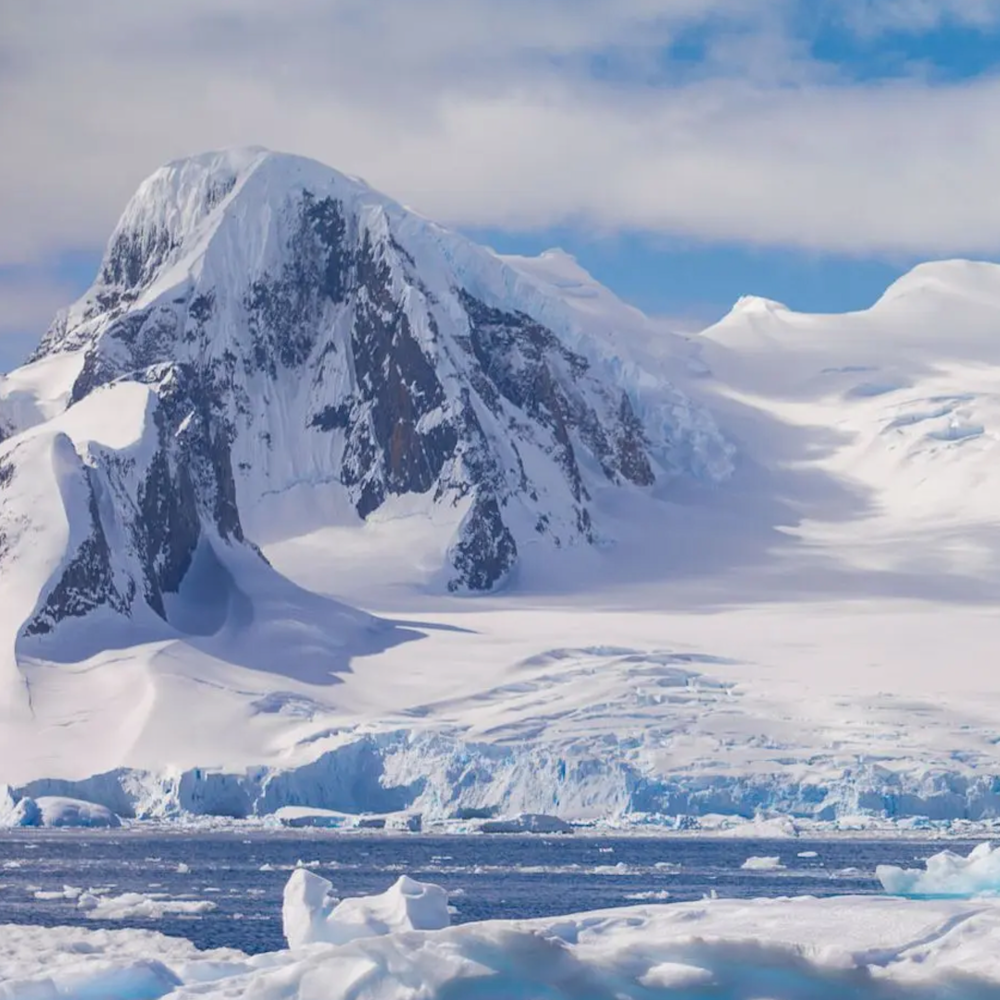 virmuze exhibit Antarctica logo main