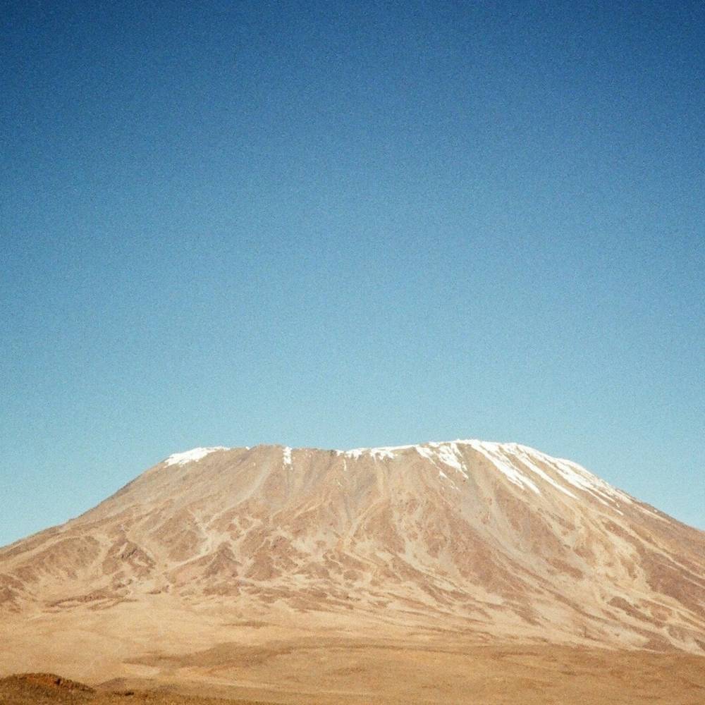 virmuze exhibit Assimilation logo main