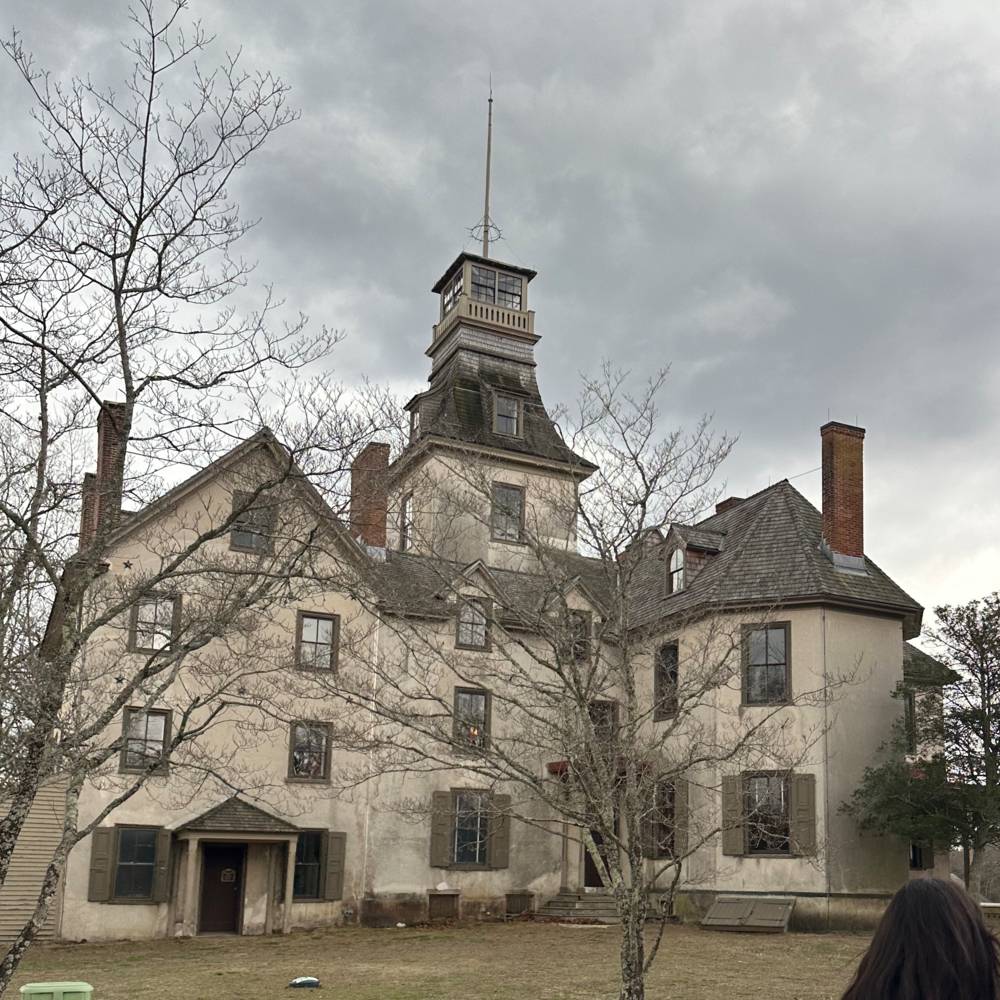 virmuze exhibit History logo main