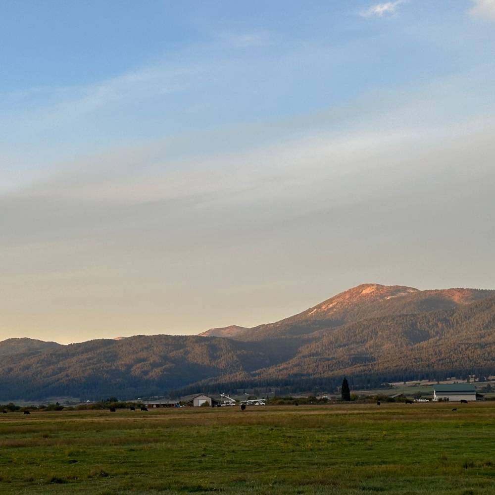 virmuze exhibit Remembering the Past, Looking to the Future logo main