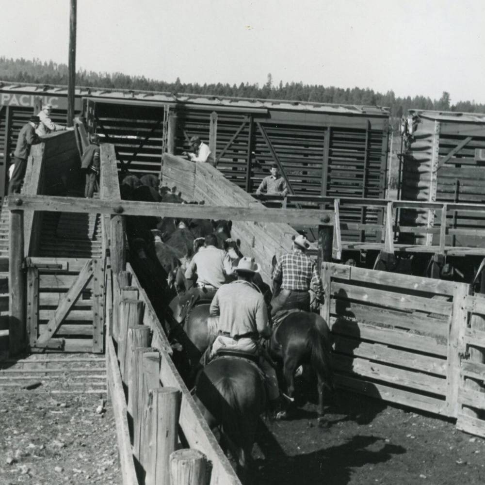 virmuze exhibit From Crops to Cattle logo main