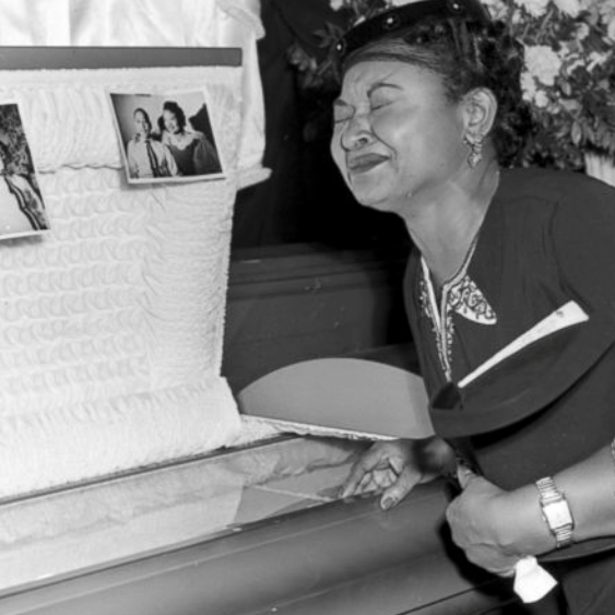 virmuze exhibit Emmett Till’s Casket logo main