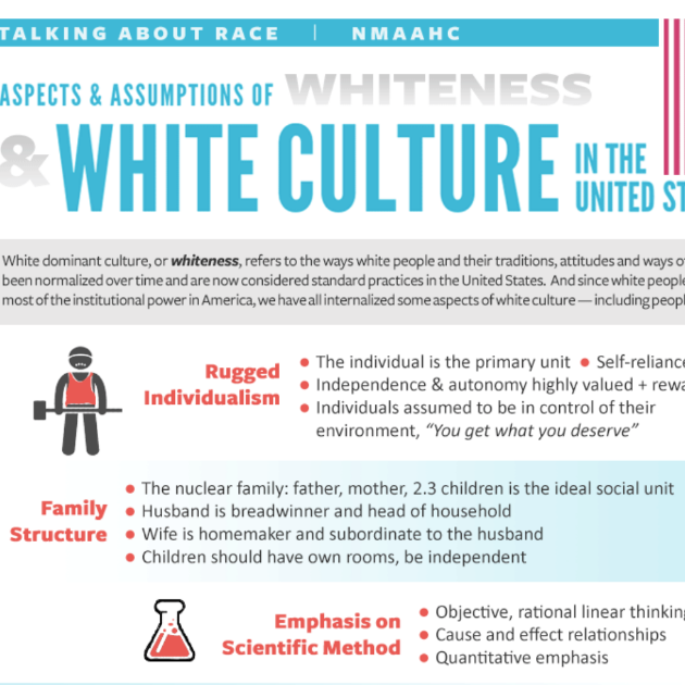 virmuze exhibit Aspects & Assumptions of Whiteness & White Culture in the United States logo main