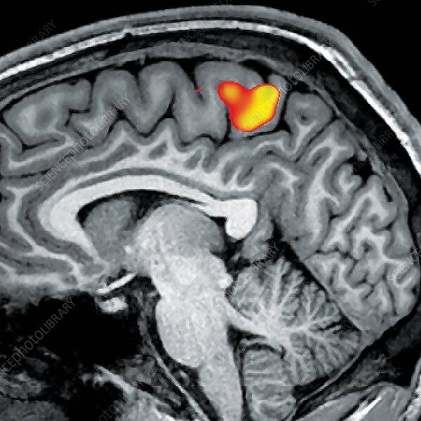 virmuze exhibit The Working Mind logo main