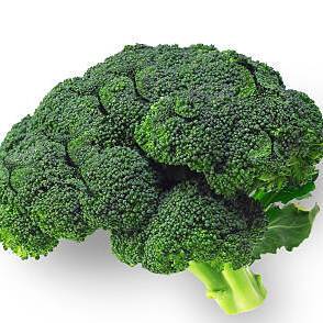 virmuze exhibit The Impactful Mind logo main