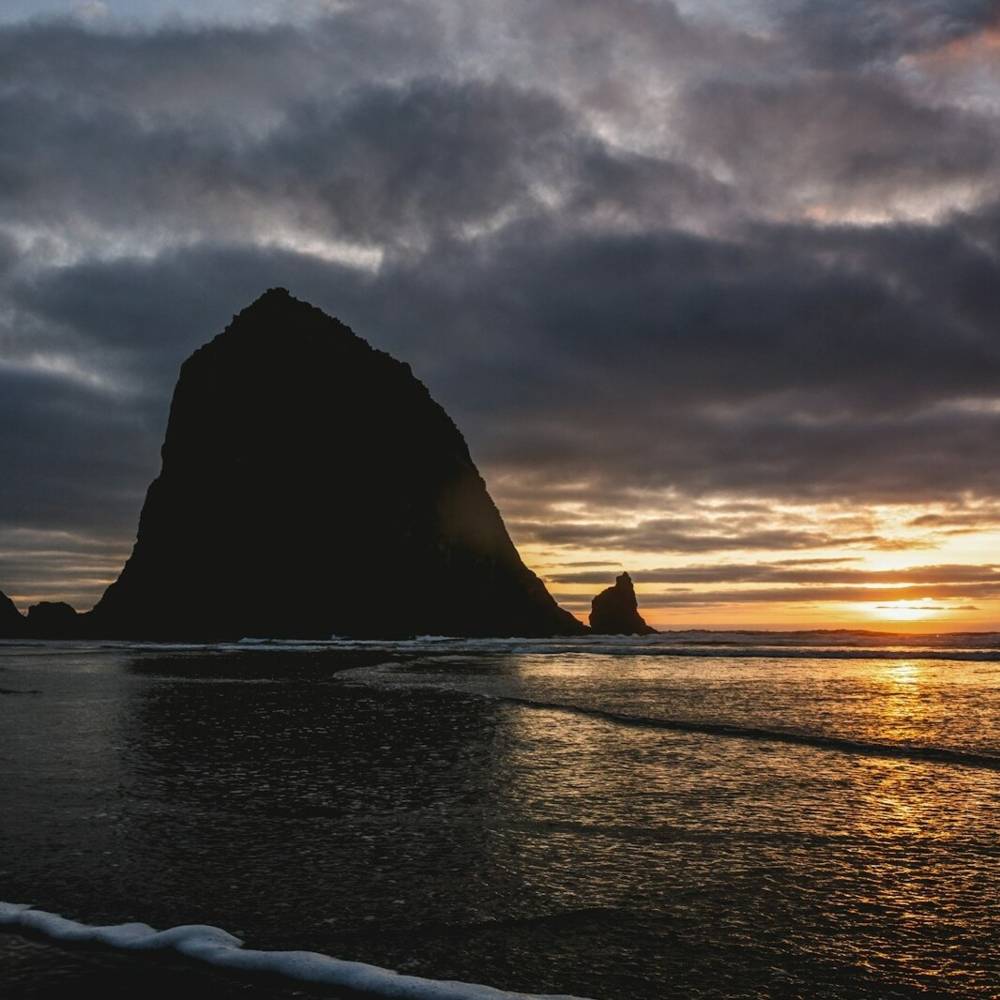 virmuze exhibit สมาชิกกลุ่ม logo main