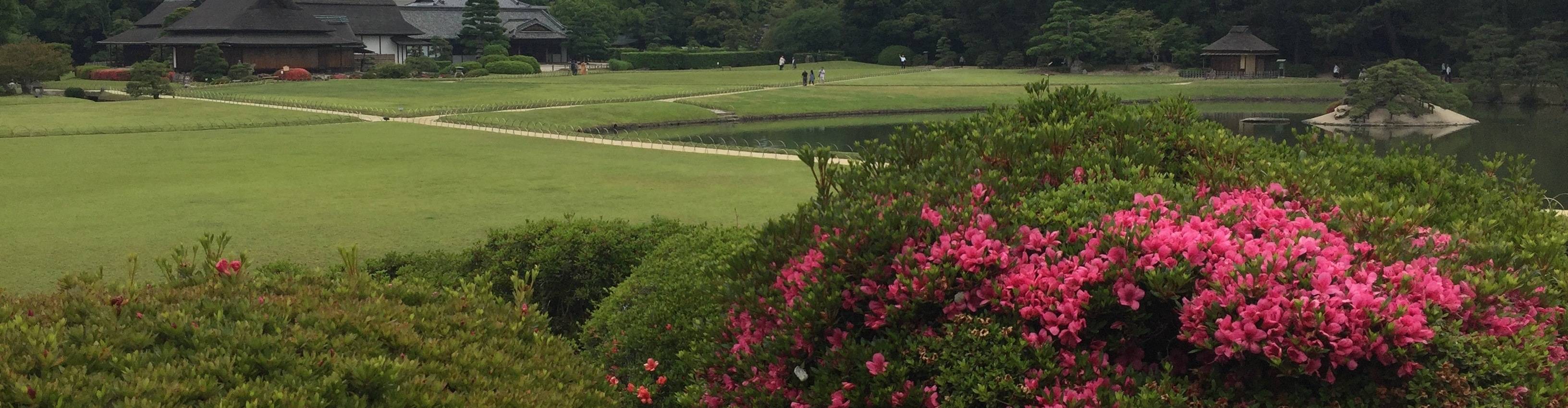 virmuze museum Aida Yuen Wong's Asian Art Courses main banner
