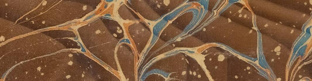 virmuze museum Belludi main banner