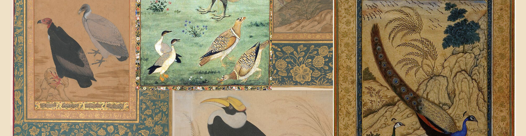 virmuze museum Birds of The Mughal Empire main banner