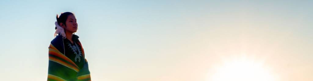 virmuze museum Bearing Witness to Indigenous Art main banner