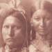virmuze museum Finding Survivance: Indigenising Buffalo Bill's Wild West logo thumbnail